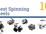 10 Best Spinning R..