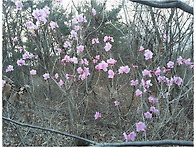 제39차 정기산행_아산 고..