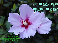 나라 꽃 무궁화 사랑!