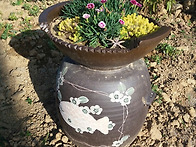 항아리 화분