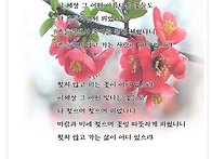 흔들리며 피는 꽃