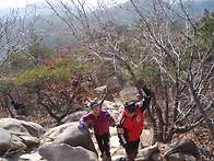 2015년1월정모(관..