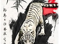 14' 김동규 작
