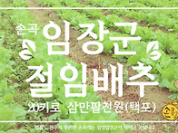 2013 손곡 임장군 절임배추..