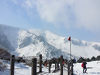 한라산 산행 사진..