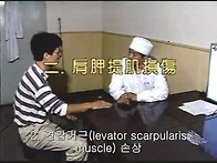 08. 견갑거근 손상(Lev..