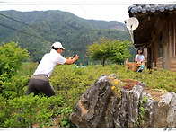 제3회 한사모 은티산장 1..