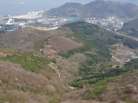 영취산 (진례봉) 진달래 ..