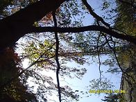 2012.10 가을 정비모임 대..