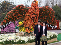 수목원 국화축제..정말 신..