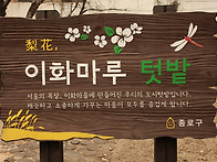 종로이화동 골목벽..