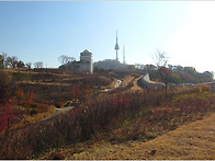 [2014-18] 2014년 11월14일(화) 남산걷..