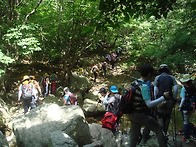 용바위 산악회 7월산행앨범