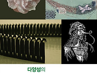 다양성의 미술: 판화展_제..