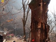 청량사(淸凉寺)(1)