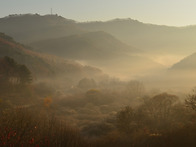 인제 비밀의 정원