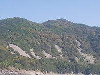 무인도 투어 몇컷