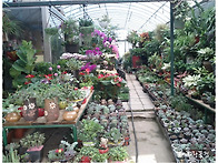 아리랑꽃집 내부사진