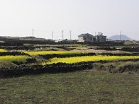 2011.4.25 우도올레