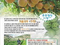 효재농원 광고 전단지...