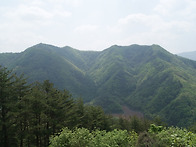 15.05.정선 민둥산 풍경~