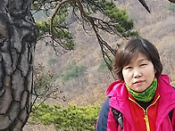용화산