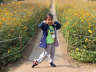 올릭픽 공원 - 들꽃마루 ..