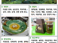 화천 서오지리 연꽃단지에..