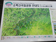 5.20. 소백산 철쭉산행