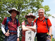 원주의배부른산