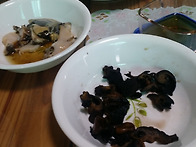 해루질2