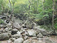 설악산 정모