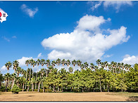제주도 탐방 [한림공원] ..