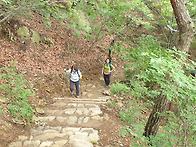 172차 정기산행. 앞산 청..