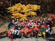 대구 팔공산 정기산행~~~