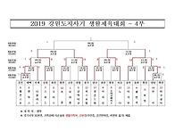 2019년 제11회 강원도지사..