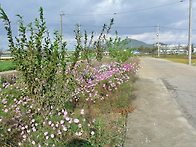 개암사 능가산 일주