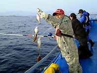 2월28일(화)공현진항 어구..
