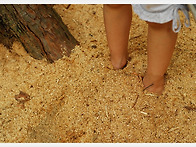 과연 누구의 발일까요?