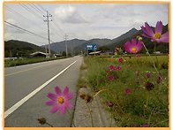 100km 세번째 도전(소리산..