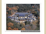 신라 통일신라 가..