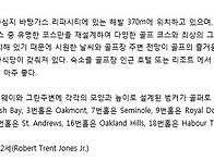 리파의 다크호스 ..