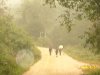 금학산 종주(능이버섯 캐러..