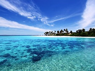 몰디브 신혼여행 ..