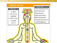 차크라와 경혈