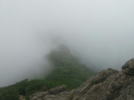 전남 광주 6월 백운산 산행