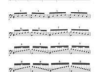 TIME 201 - Polyrhy..