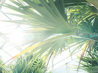 2015.03.15.일.서울숲