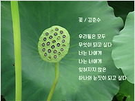 꽃 - 김춘수