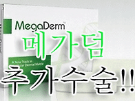 메가덤추가수술/메가덤2장..